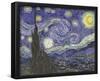 Vincent Van Gogh (The Starry Night) Art Poster Print-null-Framed Poster