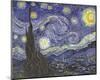 Vincent Van Gogh (The Starry Night) Art Poster Print-null-Mounted Poster