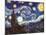 Vincent Van Gogh The Starry Night Art Print Poster-null-Mounted Poster