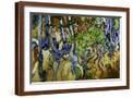 Brown Frame
