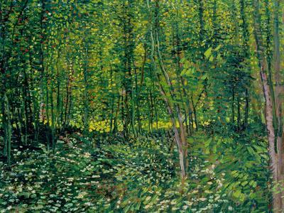 Trees and Undergrowth, c.1887