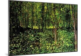 Vincent Van Gogh Trees and Undergrowth Forest Art Print Poster-null-Mounted Poster