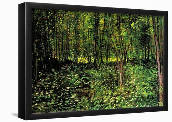Vincent Van Gogh Trees and Undergrowth Forest Art Print Poster-null-Framed Poster