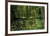 Vincent van Gogh Trees and Undergrowth Forest-Vincent van Gogh-Framed Art Print