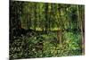 Vincent van Gogh Trees and Undergrowth Forest-Vincent van Gogh-Mounted Art Print