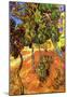 Vincent Van Gogh Trees in the Garden of Saint-Paul Hospital 2 Art Print Poster-null-Mounted Poster