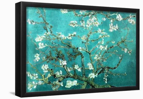 Vincent Van Gogh Turquoise Almond Branches in Bloom, San Remy Art Poster Print-null-Framed Poster