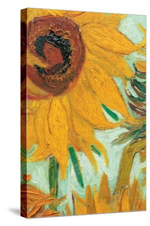 twelve sunflowers van gogh