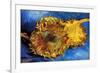 Vincent van Gogh Two Cut Sunflowers 3-Vincent van Gogh-Framed Art Print