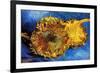 Vincent van Gogh Two Cut Sunflowers 3-Vincent van Gogh-Framed Art Print