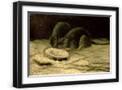 Black Frame