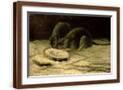 Brown Frame