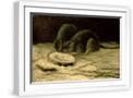 White Frame