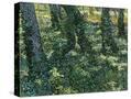Stretched Canvas