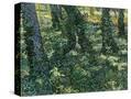 Stretched Canvas