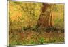 Vincent Van Gogh Undergrowth Art Print Poster-null-Mounted Poster