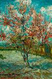 Almond Blossom - Red-Vincent van Gogh-Poster
