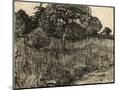 Wood Mount