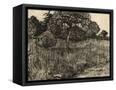 Canvas Black