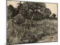 Wood Mount