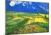 Vincent Van Gogh Wheat Fields at Auvers Under Clouded Sky Art Print Poster-null-Mounted Poster