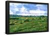 Vincent Van Gogh Wheat Fields with Stacks Art Print Poster-null-Framed Poster