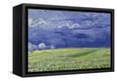 Canvas Black