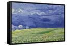 Canvas Black