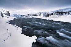 Italy, Abruzzo, Snowflakes Swirling around Almost Bare Trees, Campo Imperatore Area.-Vincenzo Mazza-Photographic Print