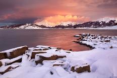 Italy, Abruzzo, Snowflakes Swirling around Almost Bare Trees, Campo Imperatore Area.-Vincenzo Mazza-Photographic Print