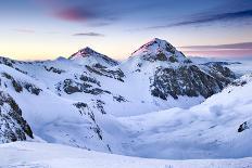 Italy, Abruzzo, Snowflakes Swirling around Almost Bare Trees, Campo Imperatore Area.-Vincenzo Mazza-Photographic Print