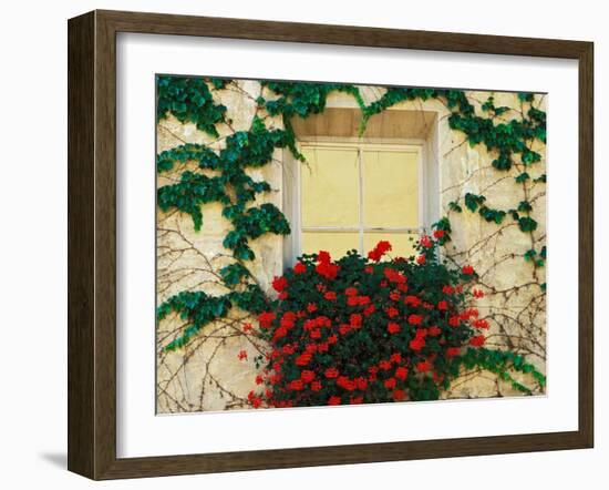 Vine and Flowers Around Window, Brixen, Italy-Adam Jones-Framed Premium Photographic Print