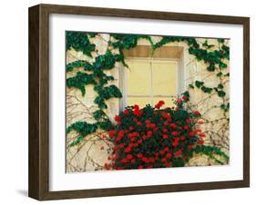 Vine and Flowers Around Window, Brixen, Italy-Adam Jones-Framed Premium Photographic Print