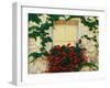 Vine and Flowers Around Window, Brixen, Italy-Adam Jones-Framed Premium Photographic Print