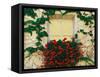 Vine and Flowers Around Window, Brixen, Italy-Adam Jones-Framed Stretched Canvas