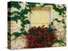 Vine and Flowers Around Window, Brixen, Italy-Adam Jones-Stretched Canvas