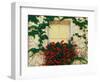 Vine and Flowers Around Window, Brixen, Italy-Adam Jones-Framed Photographic Print