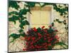 Vine and Flowers Around Window, Brixen, Italy-Adam Jones-Mounted Photographic Print