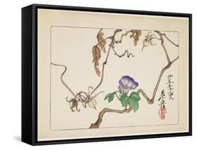 Vine and Seeds of Morning Glory, 1877-Shibata Zeshin-Framed Stretched Canvas