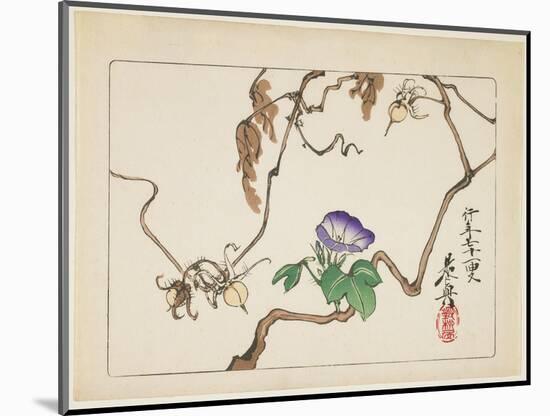 Vine and Seeds of Morning Glory, 1877-Shibata Zeshin-Mounted Giclee Print