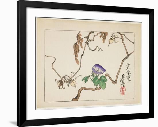 Vine and Seeds of Morning Glory, 1877-Shibata Zeshin-Framed Giclee Print