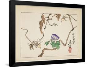 Vine and Seeds of Morning Glory, 1877-Shibata Zeshin-Framed Giclee Print