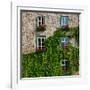 Vine covered stone house and windows, Quebec City, Quebec, Canada-null-Framed Photographic Print