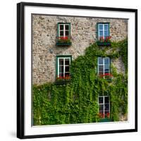 Vine covered stone house and windows, Quebec City, Quebec, Canada-null-Framed Photographic Print