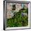 Vine covered stone house and windows, Quebec City, Quebec, Canada-null-Framed Photographic Print