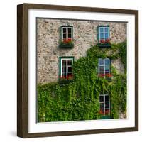 Vine covered stone house and windows, Quebec City, Quebec, Canada-null-Framed Photographic Print