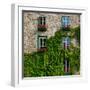 Vine covered stone house and windows, Quebec City, Quebec, Canada-null-Framed Photographic Print