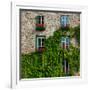 Vine covered stone house and windows, Quebec City, Quebec, Canada-null-Framed Photographic Print