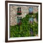 Vine covered stone house and windows, Quebec City, Quebec, Canada-null-Framed Photographic Print