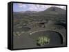 Vine Cultivation, La Geria Region, Lanzarote, Canary Islands, Spain-Ken Gillham-Framed Stretched Canvas